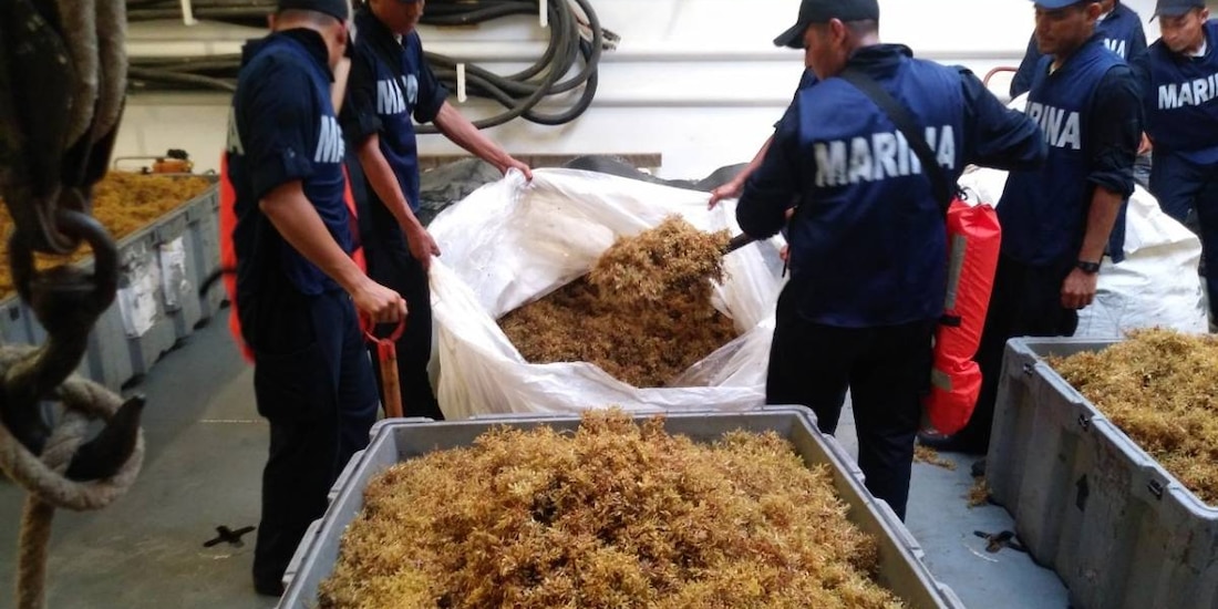 Marinos trabajando en playas del país.