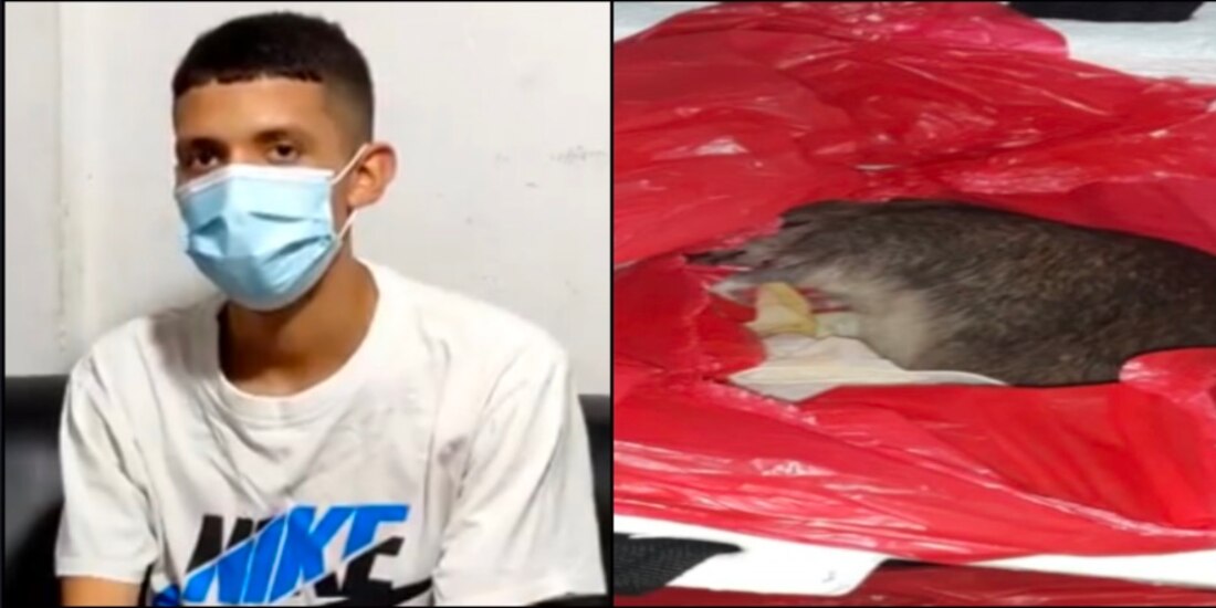 Joven reclama el cuerpo de su bebé recién fallecido; le dan una rata muerta. Foto: Especial