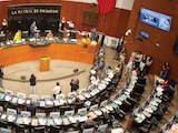 Imagen temática de la Cámara Alta