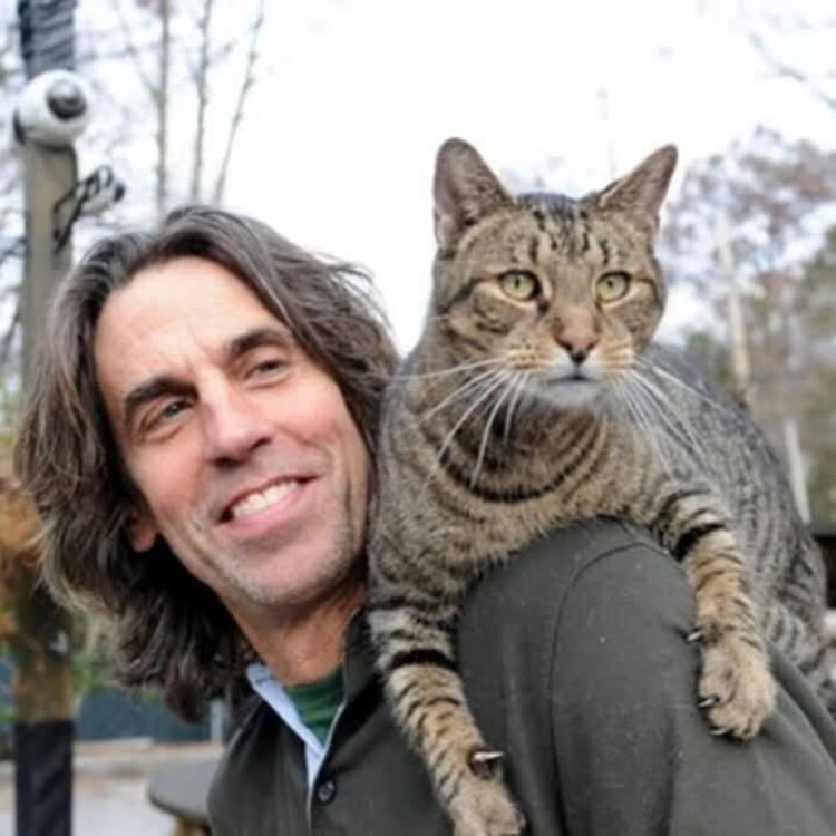 El incendio cobró la vida no sólo del responsable de rescatar a estos gatitos, sino también de más de 100 michis.