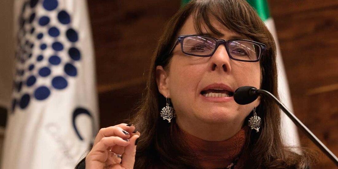 María Elena Álvarez-Buyl, directora del Conacyt.
