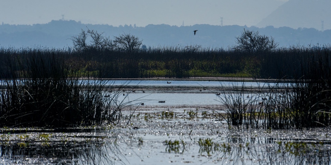 Se prevé que este 2023 se presente una de las más grandes sequías de las últimas décadas en México.
