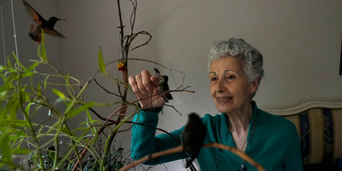 Catia Lattouf acaricia a un colibrí herido dentro de su apartamento que ha convertido en una clínica improvisada para estos pájaros en la CDMX