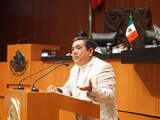Félix Salgado Macedonio pide licencia como senador de Morena