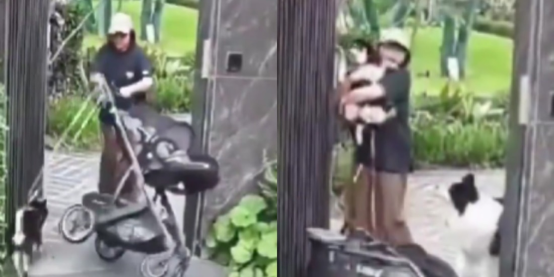 El VIDEO de la mujer que dejó caer a su bebé en carreola para defender a su perro