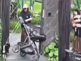 El VIDEO de la mujer que dejó caer a su bebé en carreola para defender a su perro