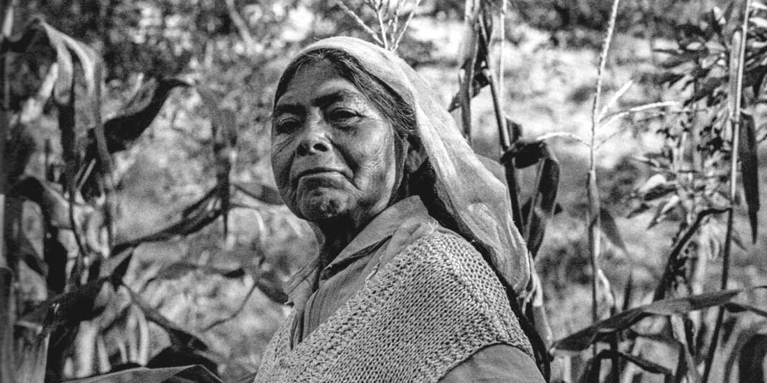 Yolotepec, Santiago de Anaya (detalle), 1980.