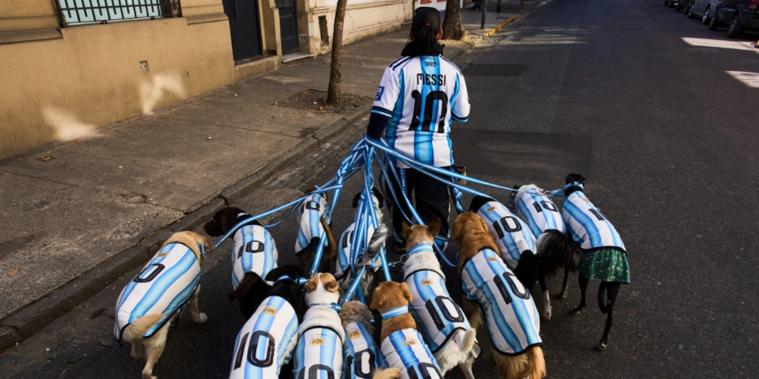 En Argentina un grupo de perros luce la playera de Messi.
