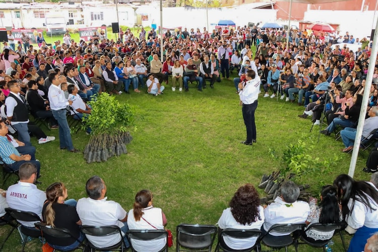 'Sembremos esperanza': Alejandro Armenta realiza jornada de reforestación en Chignautla