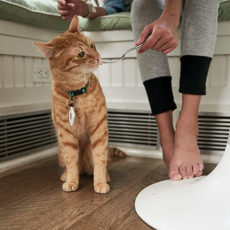 Este rastreador le permitirá a mamá y a toda la familia encontrar rápidamente hasta a las mascotas
