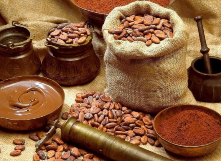 Cenote musical y taller de cacao