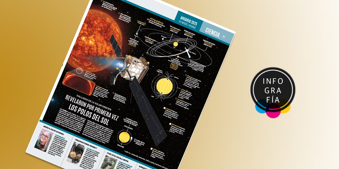 Anuario: Revelaron por primera vez los polos del sol