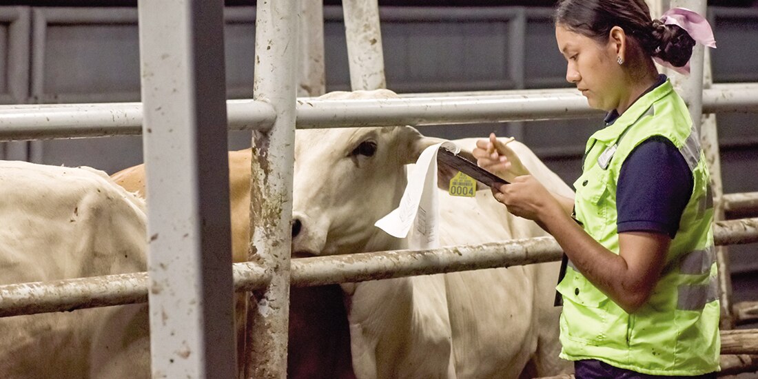 Acciones de contención de infecciones en ganado por Senasica, en foto de archivo.