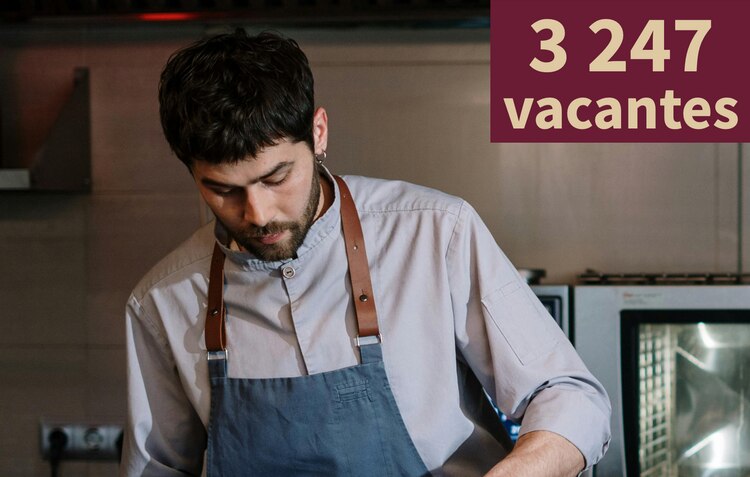 Estas vacantes son publicadas por el Gobierno de la CDMX para trabajar en alguna de las 16 alcaldías.