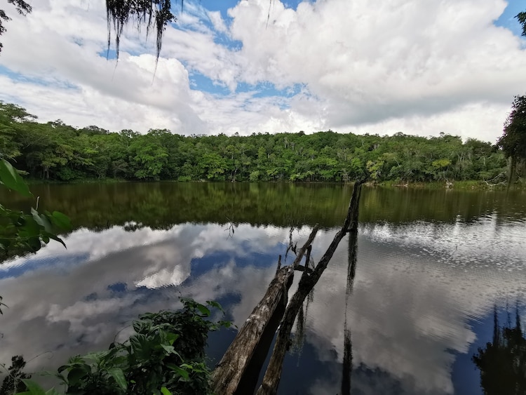 Hectáreas en Quintana Roo