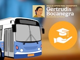 Beca Gertudris Bocanegra Educación Superior