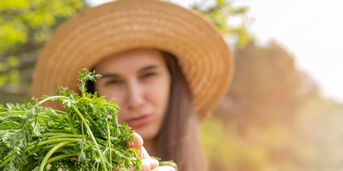Consumir zanahorias tiene múltiples beneficios para la salud.