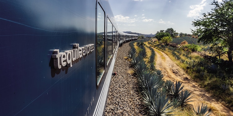Un paseo en el tren Tequila Express.