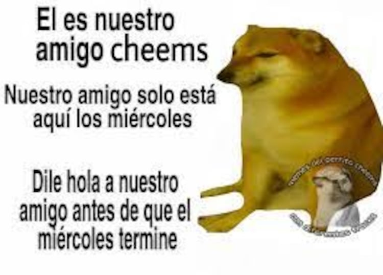Estos son TODOS los memes con los que recordaremos para siempre a ...