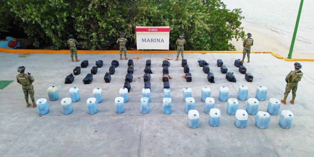 Marina entrega plataforma que permite el control y vigilancia de sustancias reguladas.