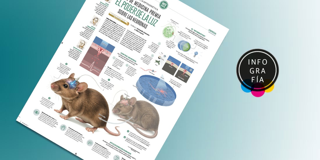 Nobel de medicina premia el poder de la luz sobre las neuronas