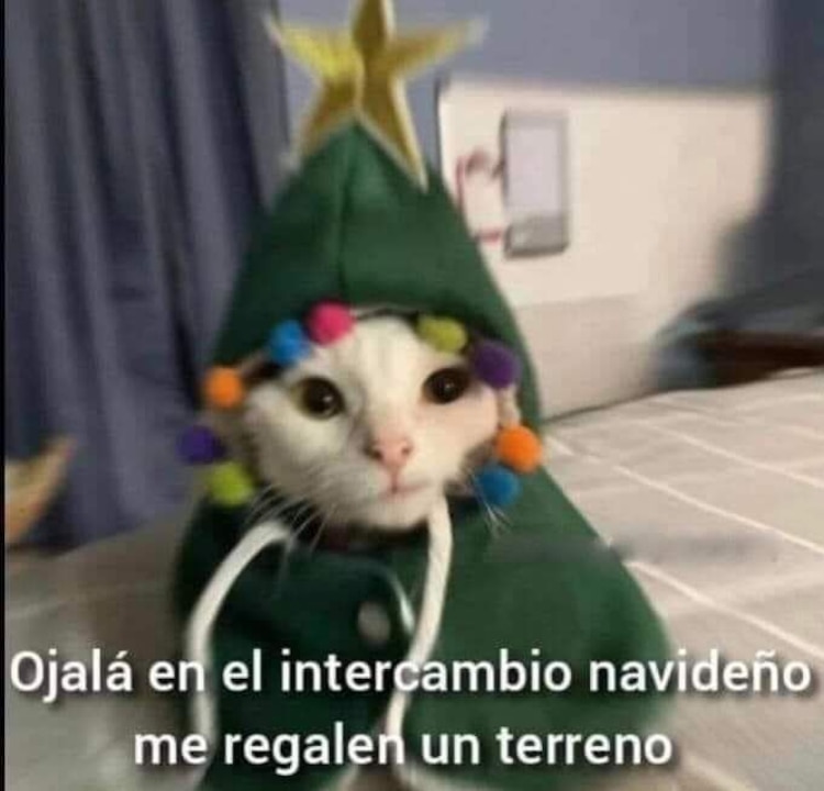 Imagenes divertidas de Navidad para el chat familiar de WhatsApp