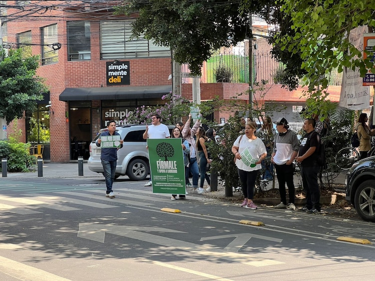 Vecinos defienden a ‘Laureano’, un árbol centenario en Benito Juárez