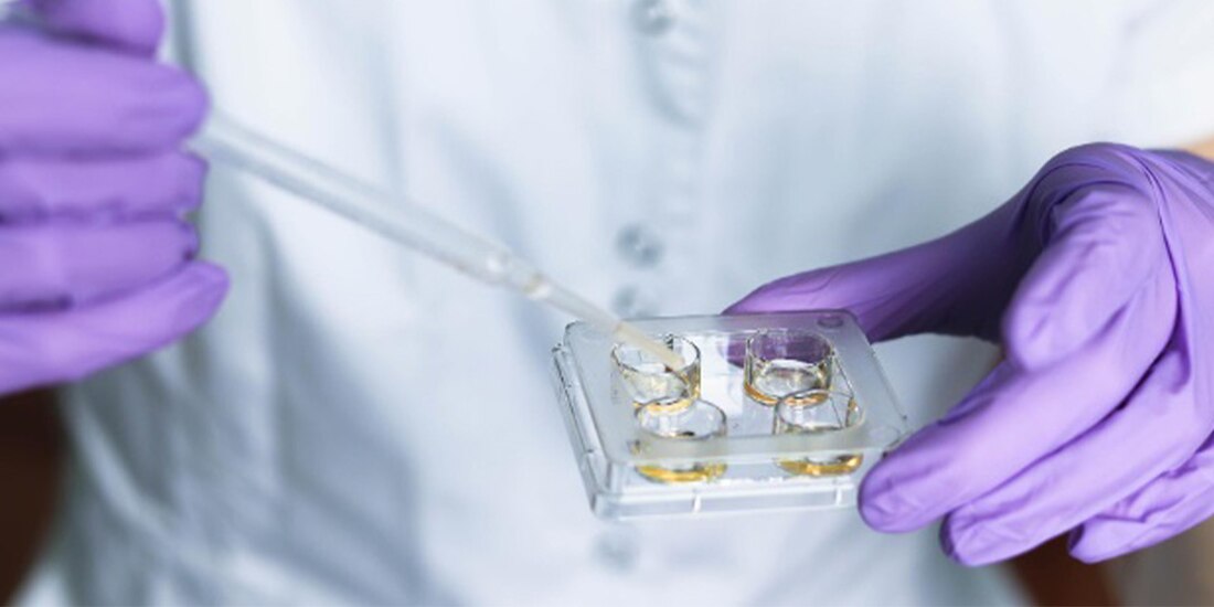 Los embriones humanos se desarrollaron sin necesidad de óvulos o espermas.