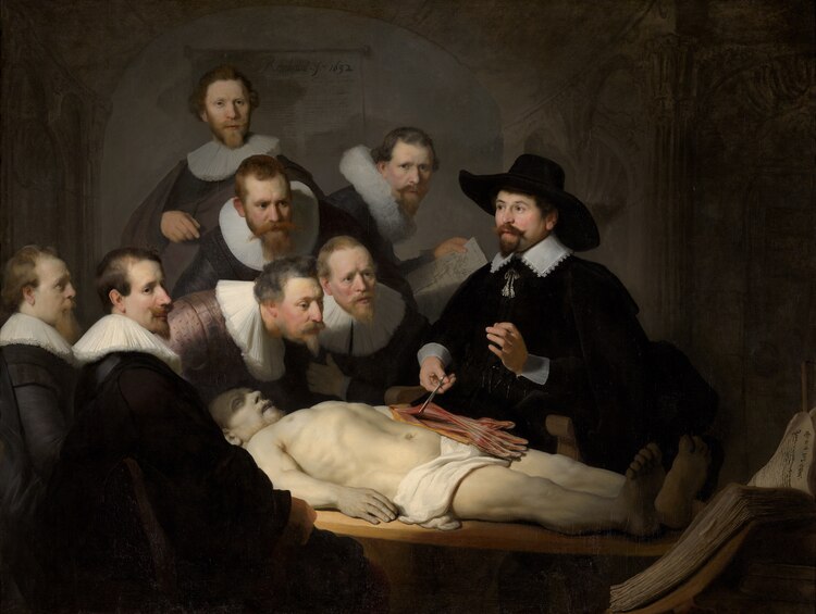 The Anatomy Lesson of Dr Nicolaes