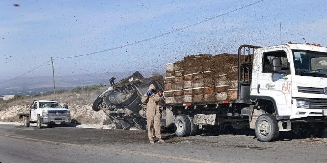 Vuelca camión con abejas
