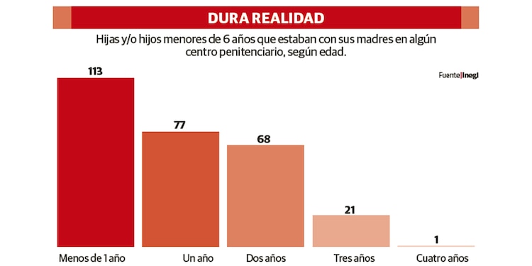 DURA REALIDAD