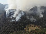 Continúan al menos 62 incendios activos en el país: Conafor