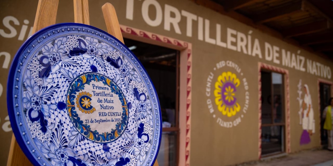 Tortillería de maíz nativo