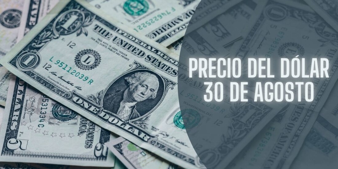 Este es el precio del dólar hoy viernes 30 de agosto de 2024.