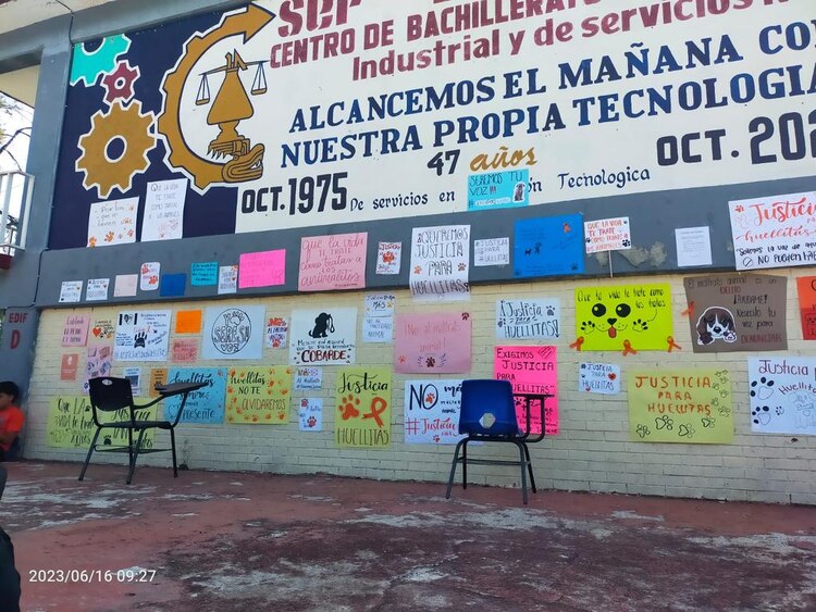 A las afueras de la escuela también se manifestaron los estudiantes contra el maltrato animal.