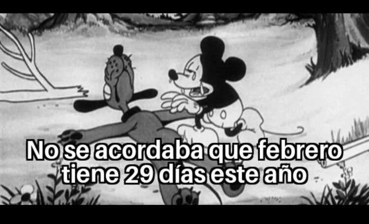 Memes del 29 de febrero