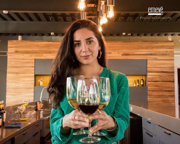 Se encuentran desde vinos blancos y tintos, hasta rosados.