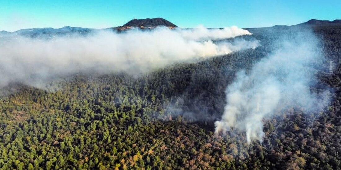 Incendio en Tepoztlán afecta el barrio de Santo Domingo desde la tarde de ayer.