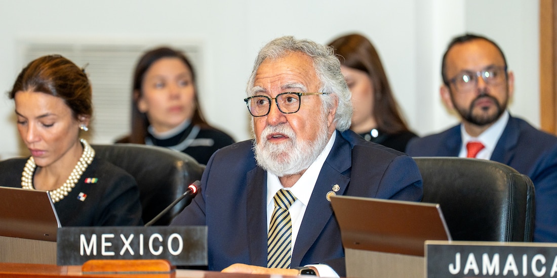 Alejandro Encinas, representante de México ante la OEA, ayer, al hablar durante la asamblea del organismo.