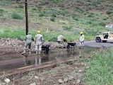El Plan DN-III-E despliega a miles de elementos de las Fuerzas Armadas para atender las afectaciones en Sonora por la tormenta tropical Polo.