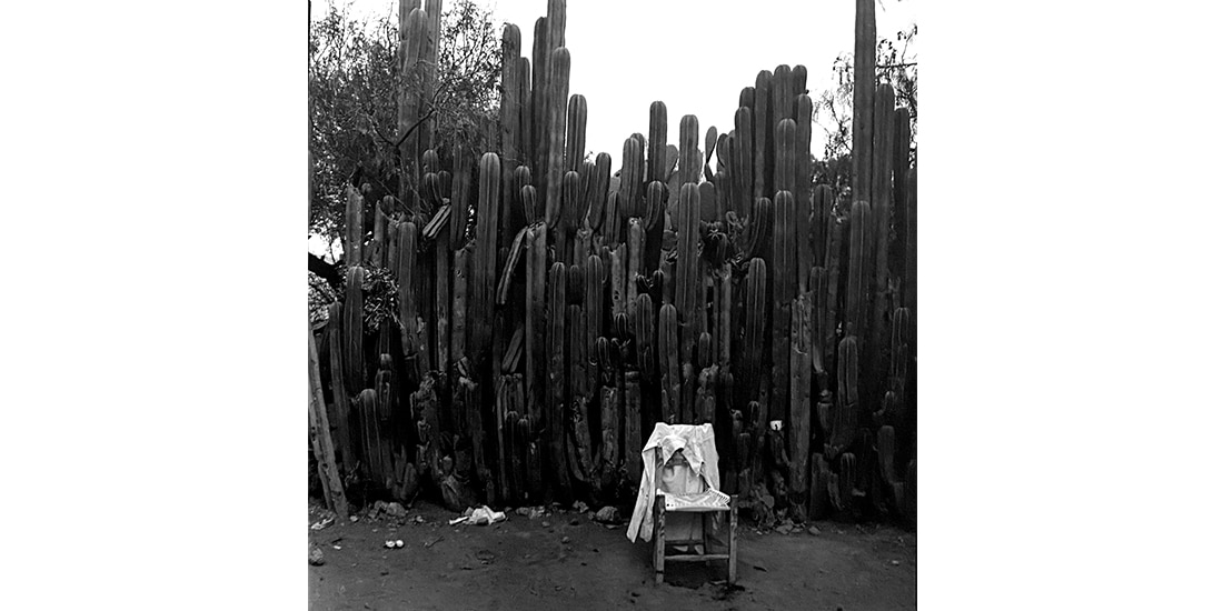 Imagen que forma parte de
la exposición