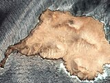 UNA IMAGEN satelital muestra un derrame de petróleo frente a la costa de Omán, ayer.