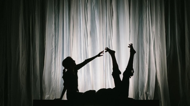 Programación de Escenarios IMSS-Cultura 2025 - 2026