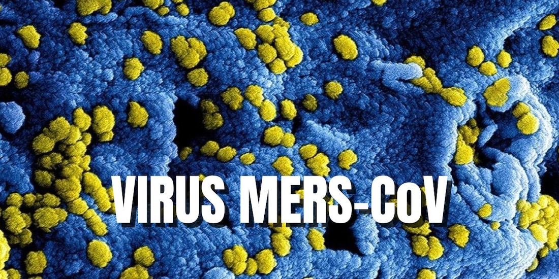 Esto sabemos del virus MERS-CoV por el que la OMS emitió recomendaciones.