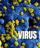 Esto sabemos del virus MERS-CoV por el que la OMS emitió recomendaciones.