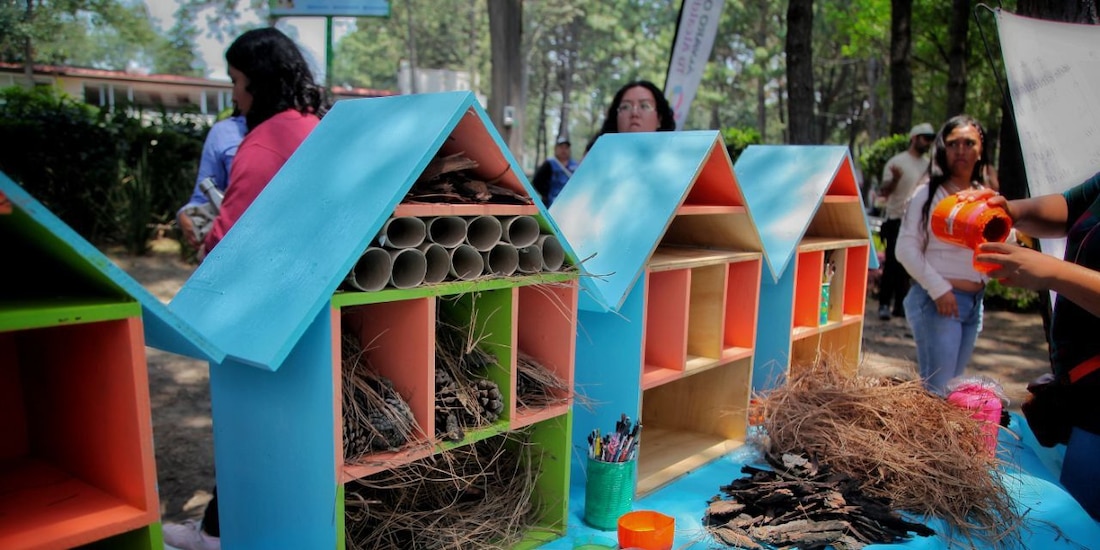 La alcaldesa Lía Limón inauguró los hoteles polinizadores para insectos.