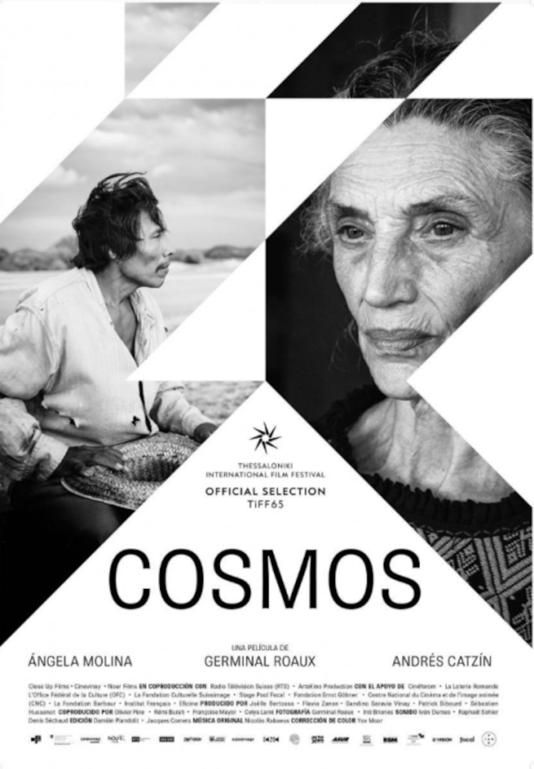 Póster Cosmos