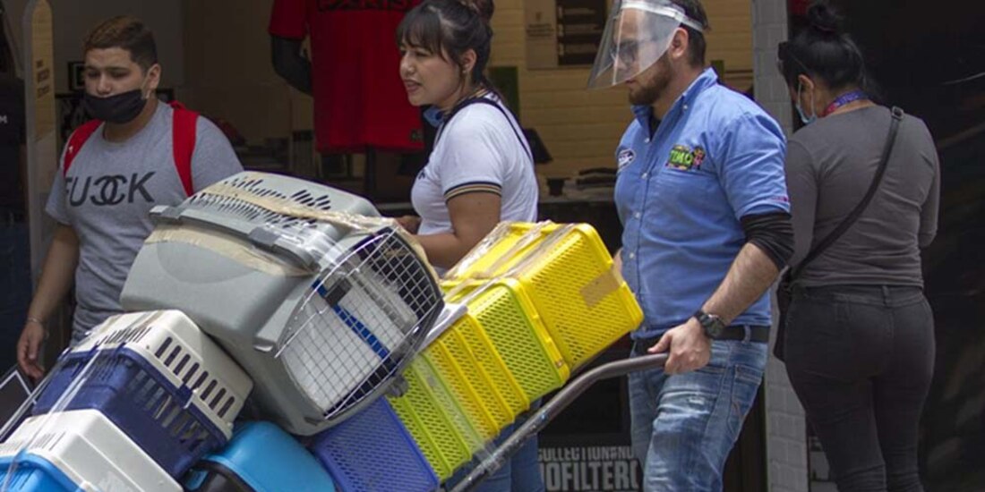 Trabajadores retoman labores en Nuevo León el pasado 1 de junio.