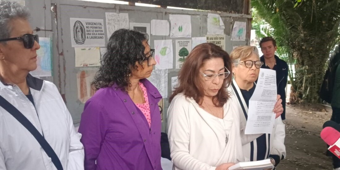 Patricia solano, en un mensaje ayer, para informar de las siguientes acciones para salvaguardar al árbol de la India.