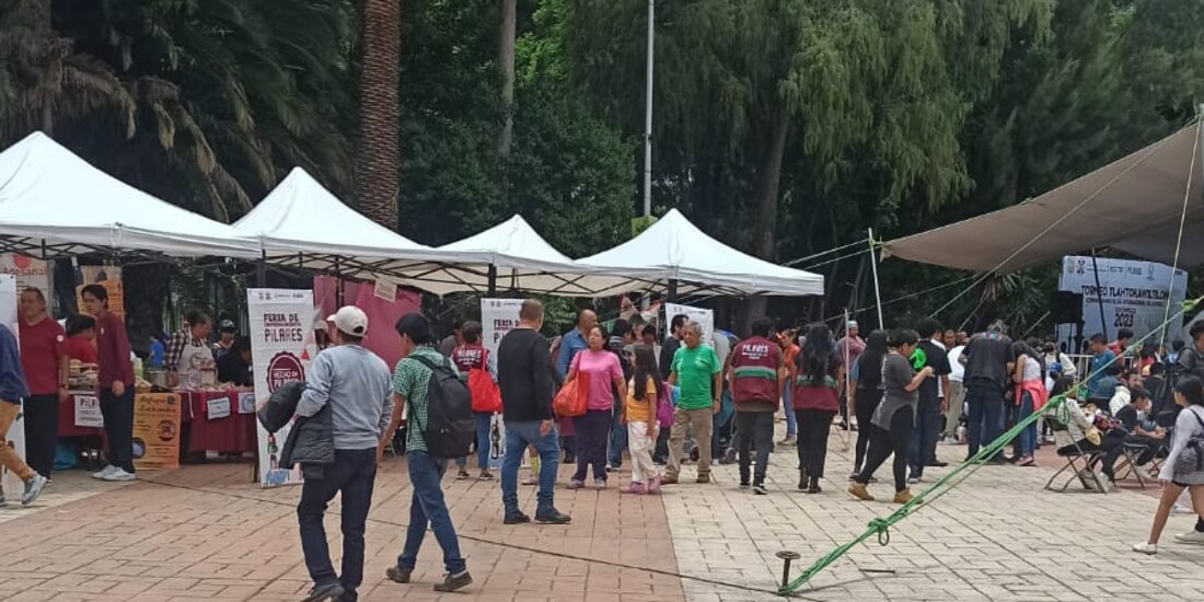 La Beca Pilares da un apoyo de hasta mil 400 pesos a estudiantes de licenciatura.